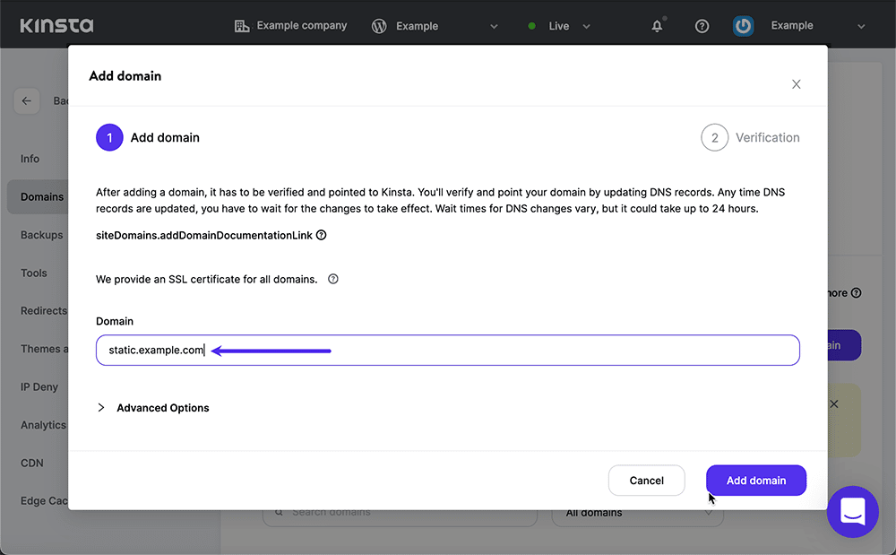 Finestra Aggiungi dominio in MyKinsta: una freccia viola indica il campo Dominio in cui è stato inserito un sottodominio di esempio.