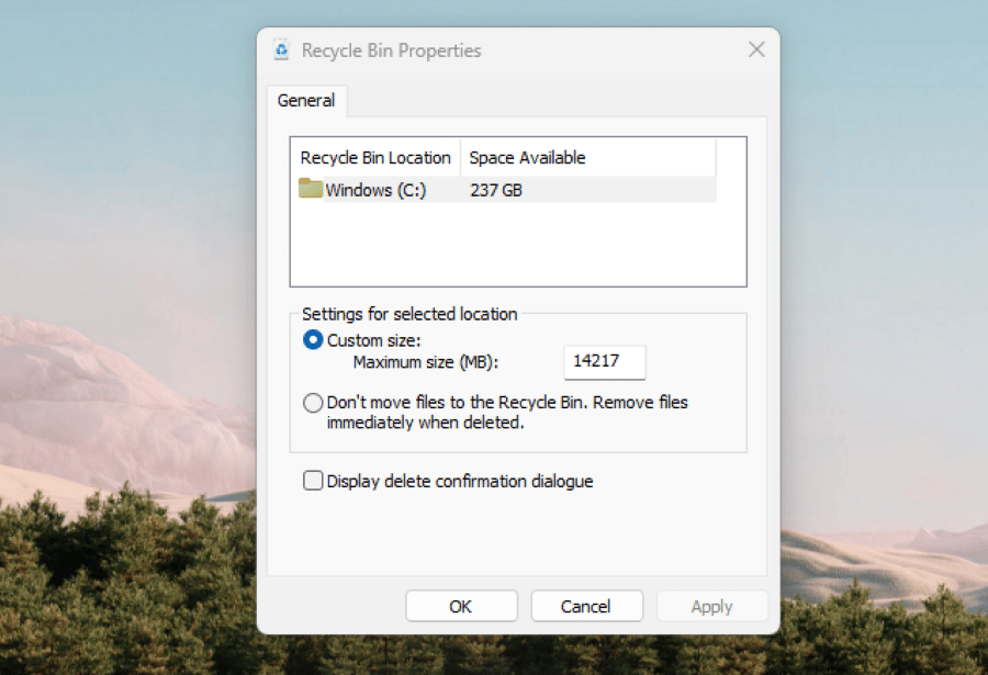 The Recycle Bin properties in Windows