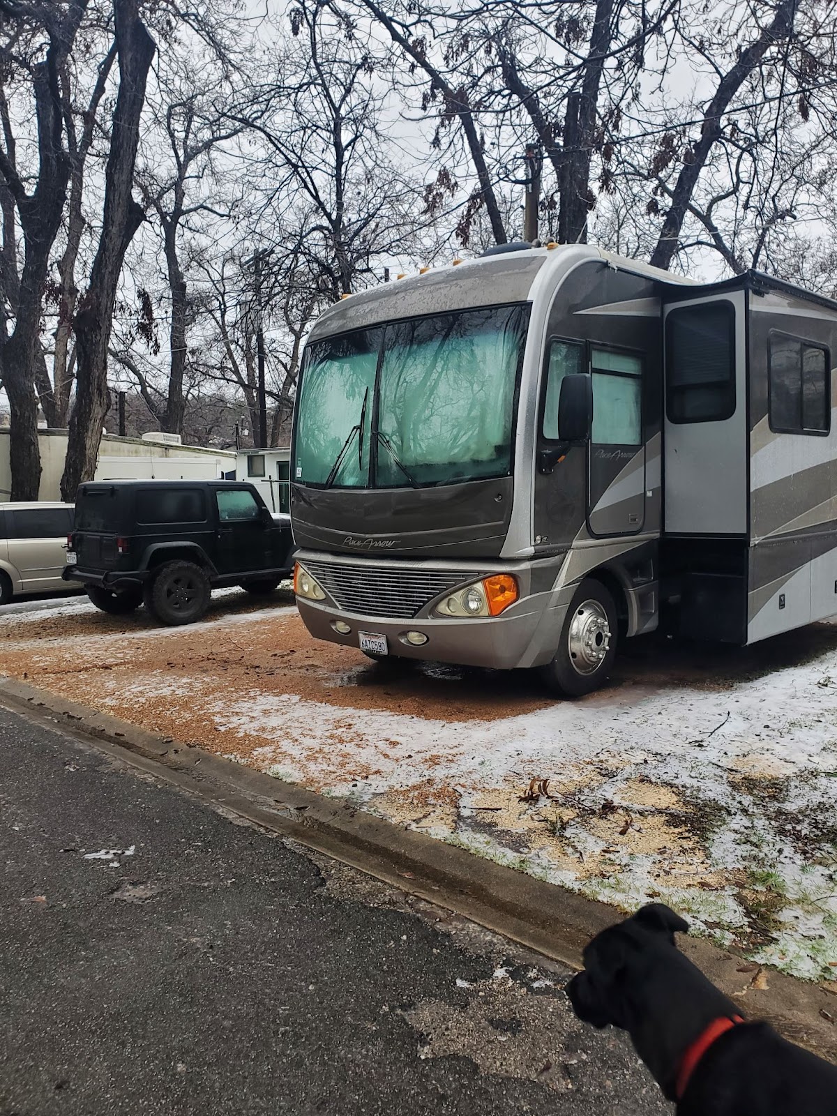 A large RV parked in a snowy parking lot, featuring a large black dog in the bottom right corner.