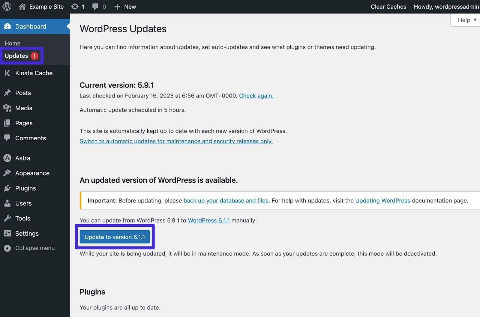 Click the button to update your WordPress version