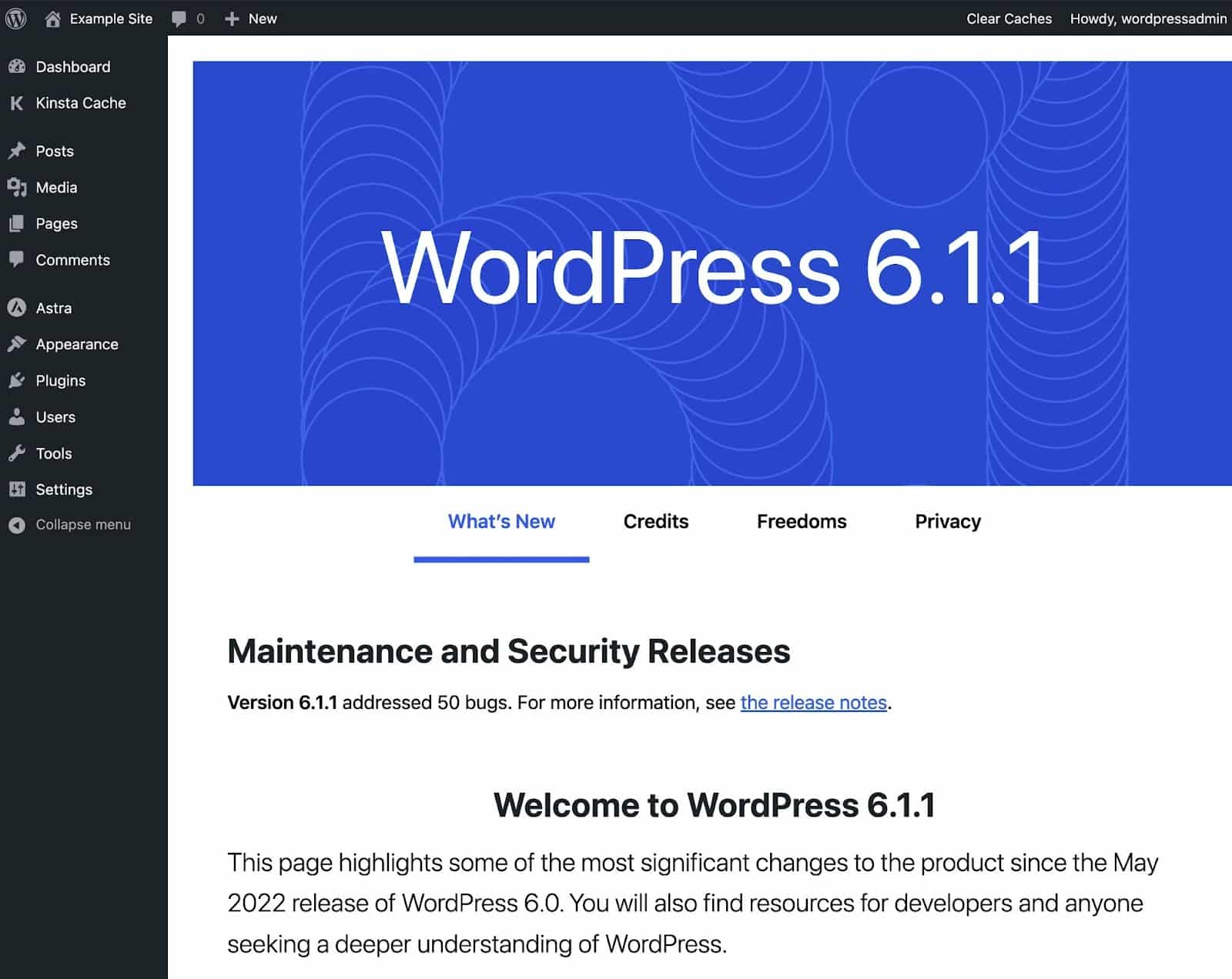 WordPress should automatically redirect you to this screen after applying the update