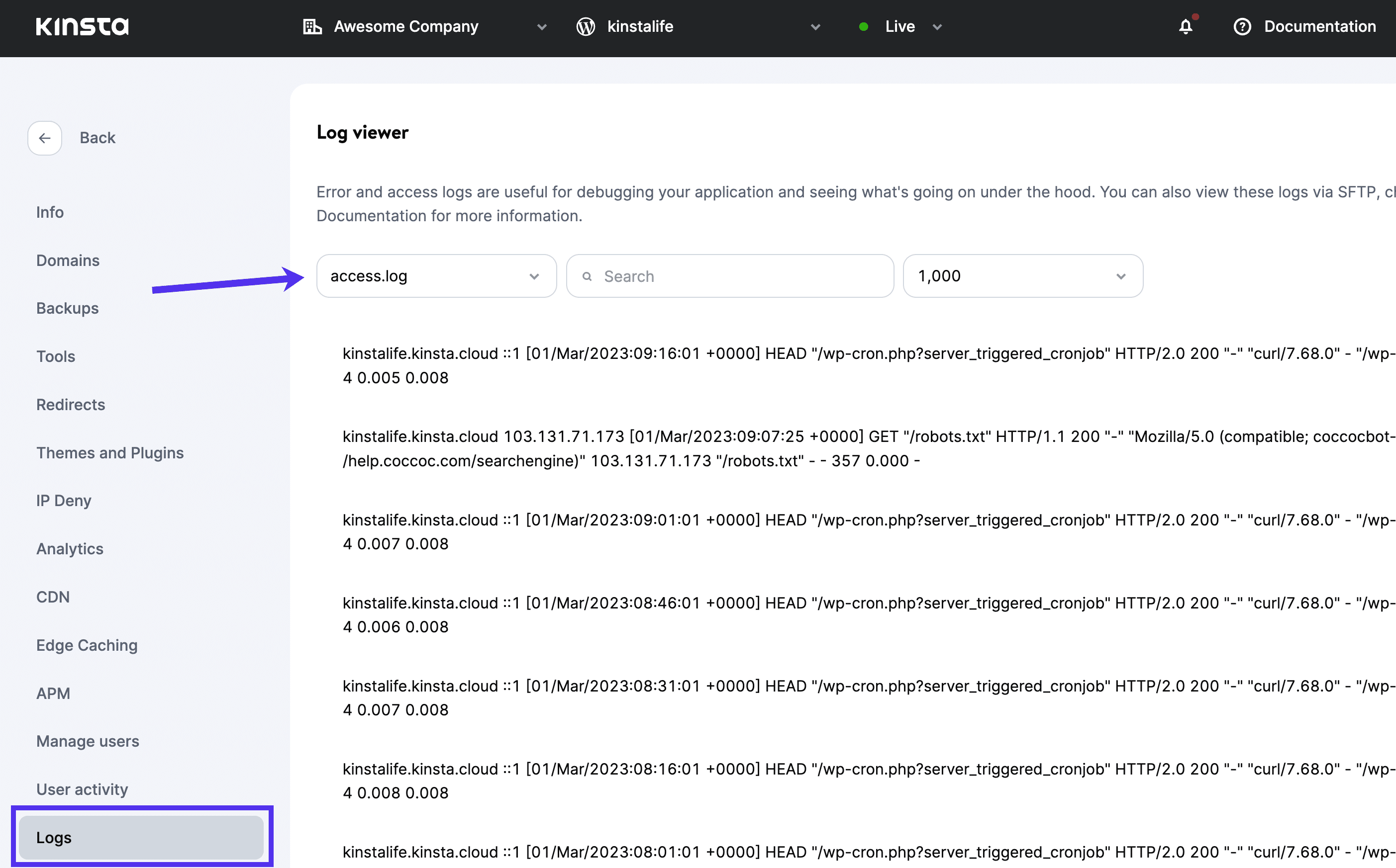 Schermata di MyKinsta con la visualizzazione dei file di log