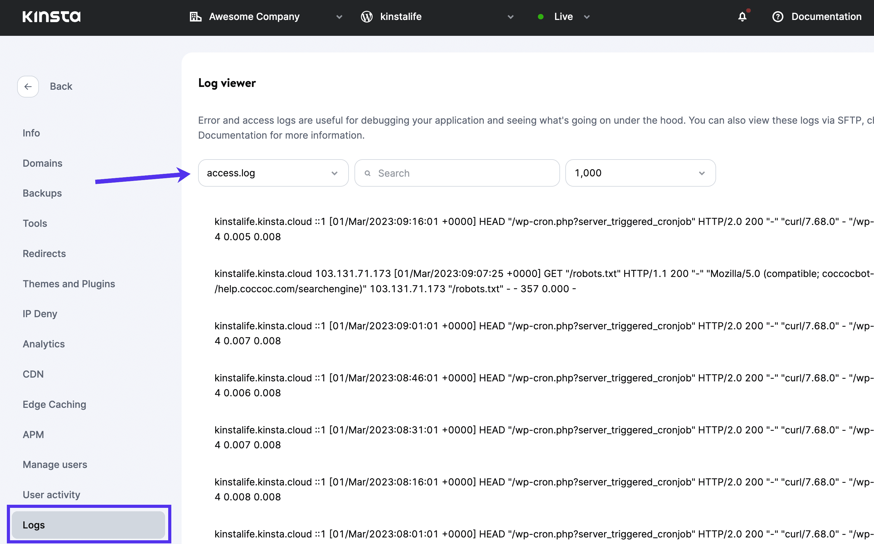 MyKinsta - visning af logfiler