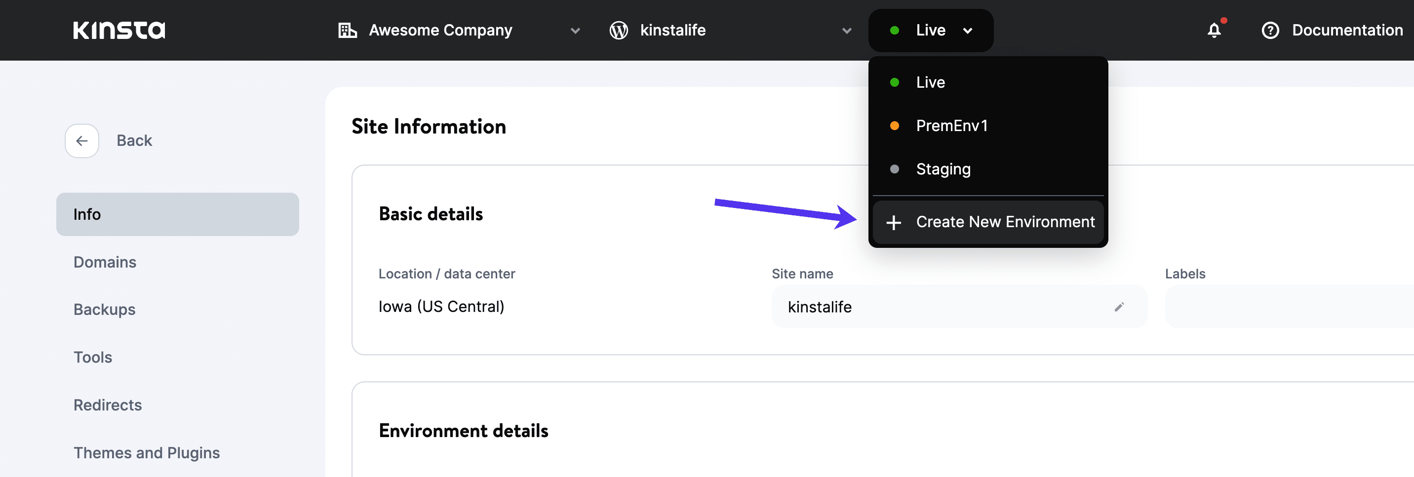 MyKinsta - Crear un nuevo entorno