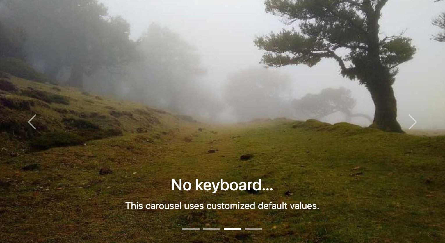 Esempio di carosello creato con un componente della libreria NG-Bootstrap Angular: la foto raffigura un sentiero verde tra gli alberi avvolti dalla nebbia.