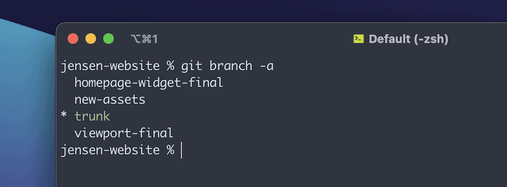 Ein Teil des Terminal-Fensters mit einem macOS-Hintergrund mit Farbverlauf, der dem Benutzer eine Liste der aktuellen Zweige in einem lokalen Repository zeigt.