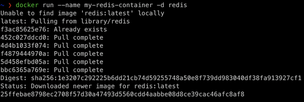 Starte das Redis-Image von Docker Hub unter dem Namen my-redis-container