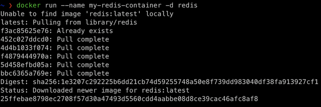 Eseguire l'immagine di Redis da Docker Hub denominata my-redis-container