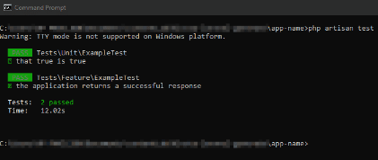 A successful Artisan test
