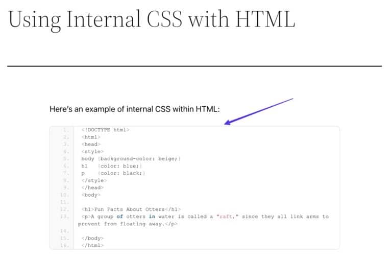 How To Display Code in WordPress (and Make It Look Pretty) - Kinsta®