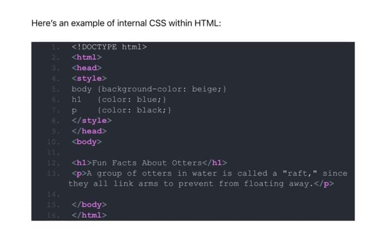 How To Display Code in WordPress (and Make It Look Pretty) - Kinsta®
