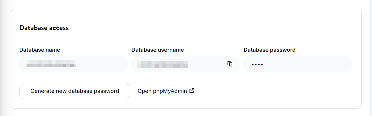 Il nome utente e la password del database in MyKinsta