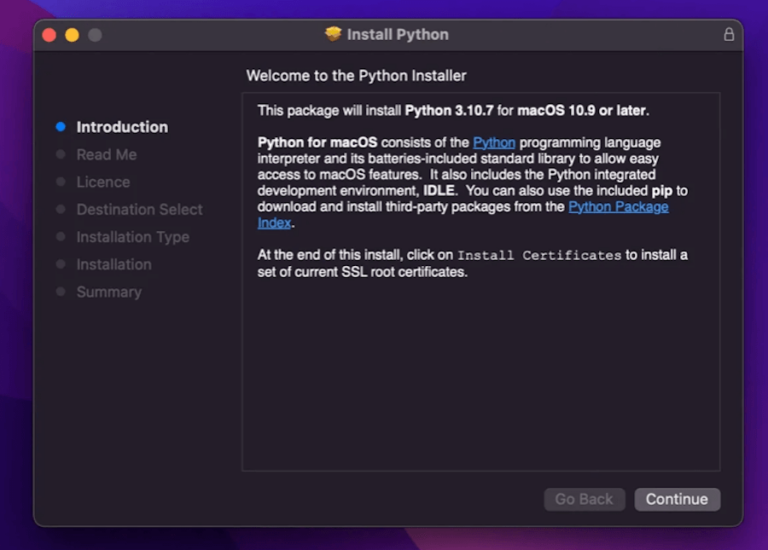 How To Install Python On Windows, MacOS, And Linux - Kinsta®