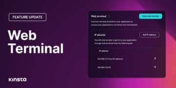 Command line access with the new Kinsta Web Terminal feature