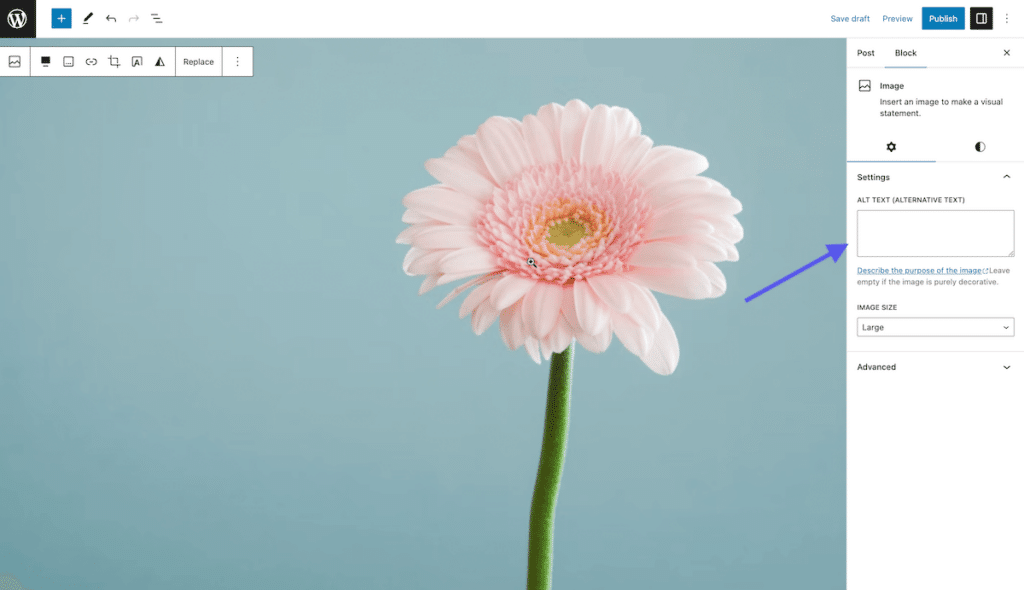 Adding ALT text in the Block Editor.