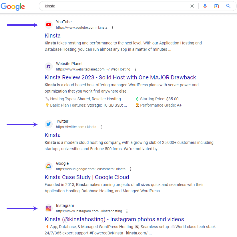 Kinsta’s Brand SERP.