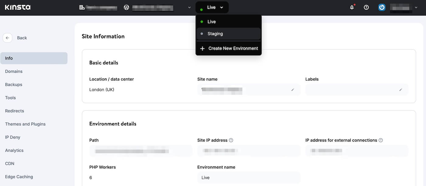 Schermata della pagina di MyKinsta per configurare un sito di prova