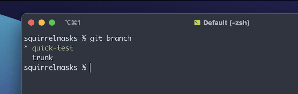 Executando um git branch no Terminal.