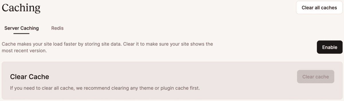 A screenshot showing the server caching details for an environment within the MyKinsta dashabord.