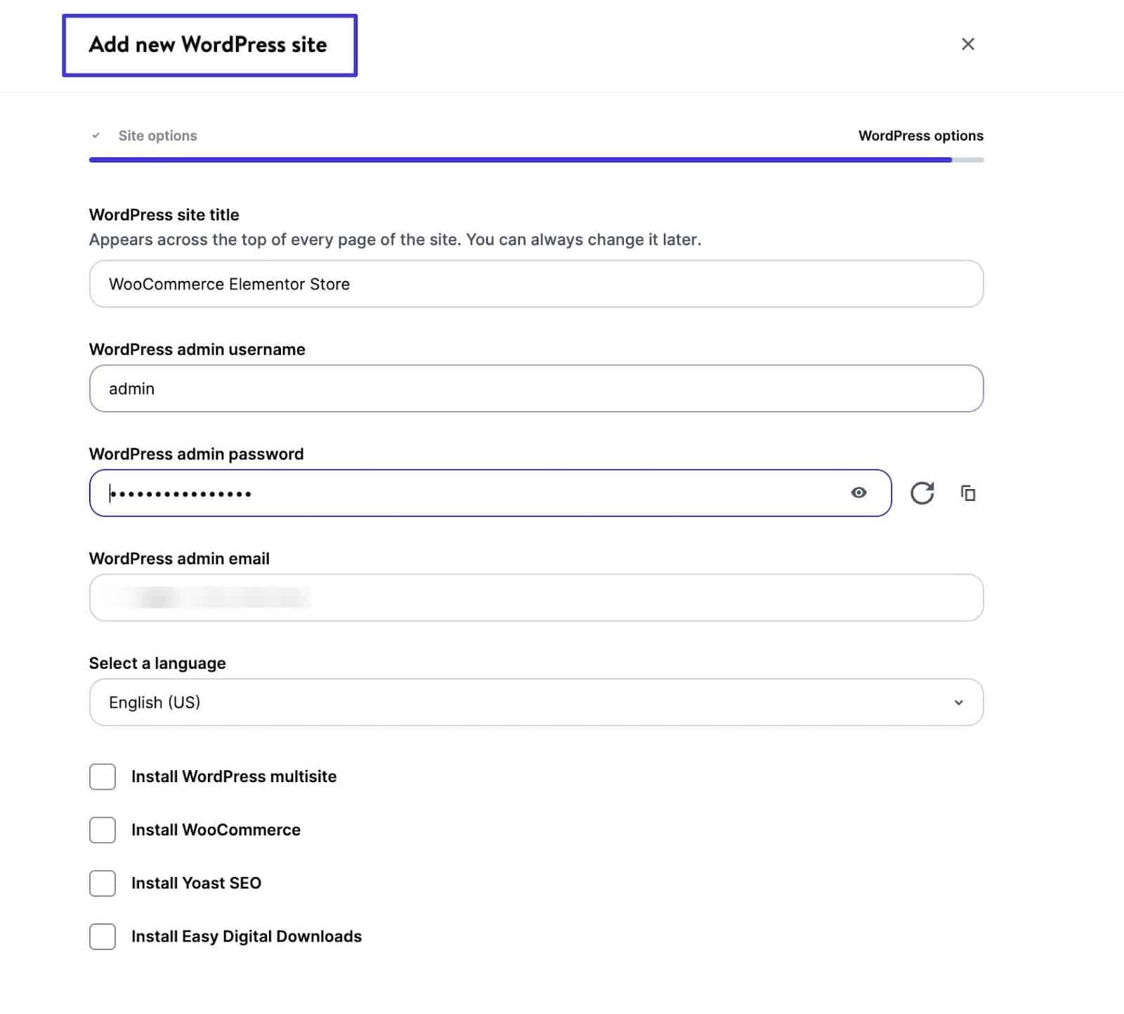 Typing in WordPress site title and password.