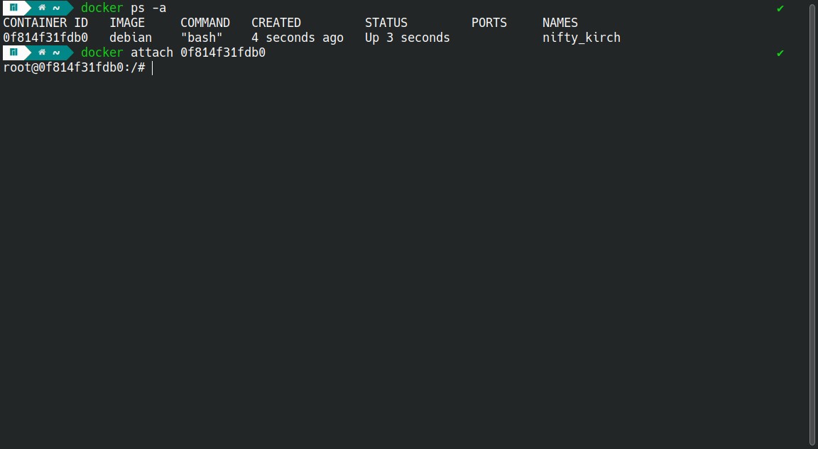 docker attach wordt uitgevoerd in de terminal om toegang te krijgen tot een container.