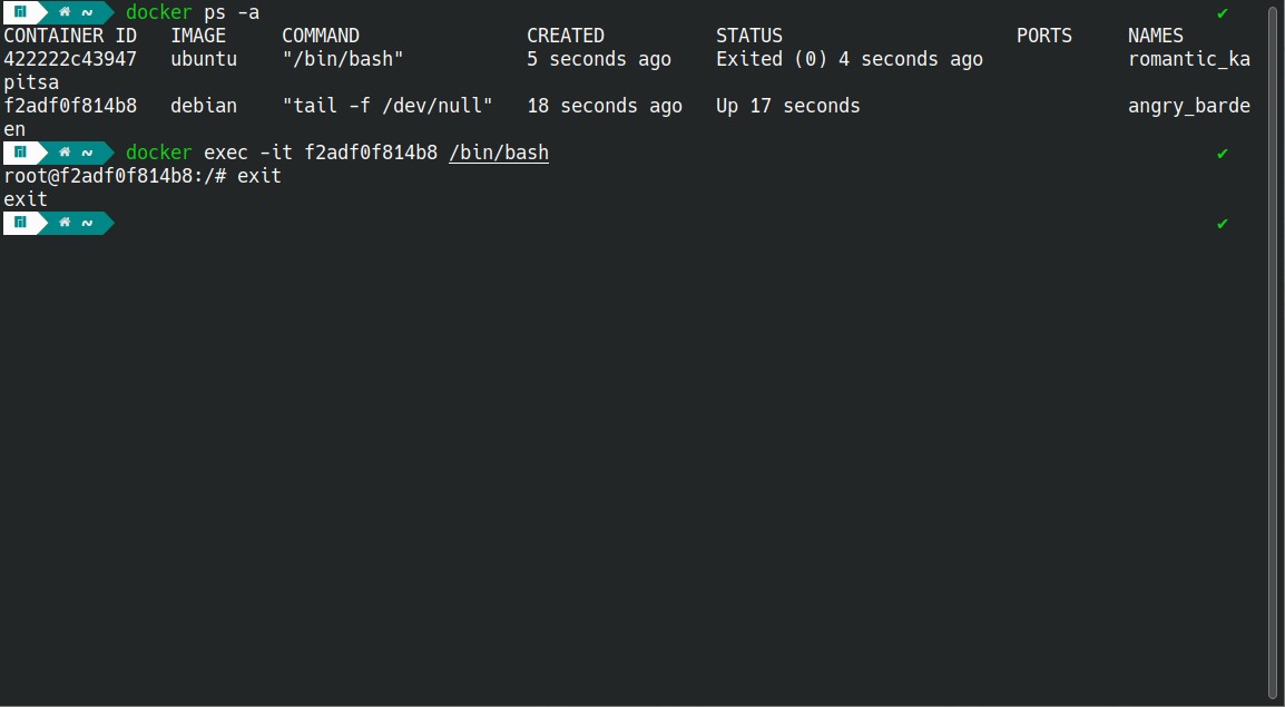 El comando docker exec ejecutado en el terminal para generar un shell bash dentro de un contenedor.