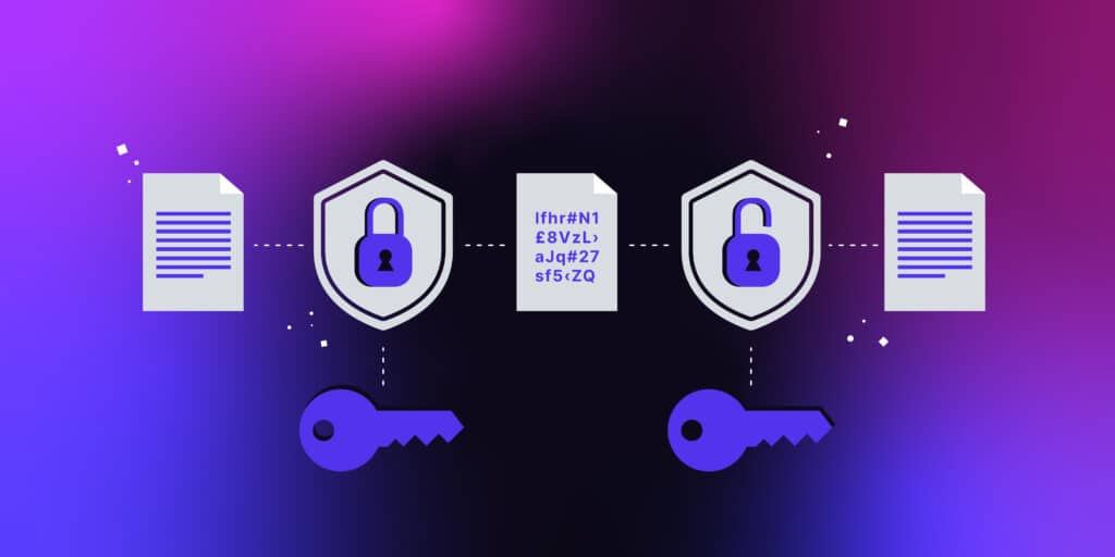 What Is Data Encryption? Definition, Types, and Best Practices - Kinsta®