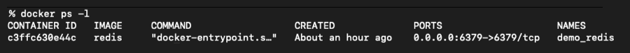 Screenshot: The output of the Docker command to show information about containers.