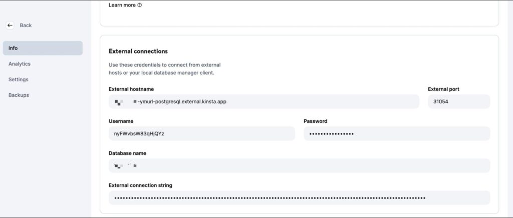 The screen shows the external hostname, port, username, password, database name, and an external connection string for the database that was created on Kinsta.