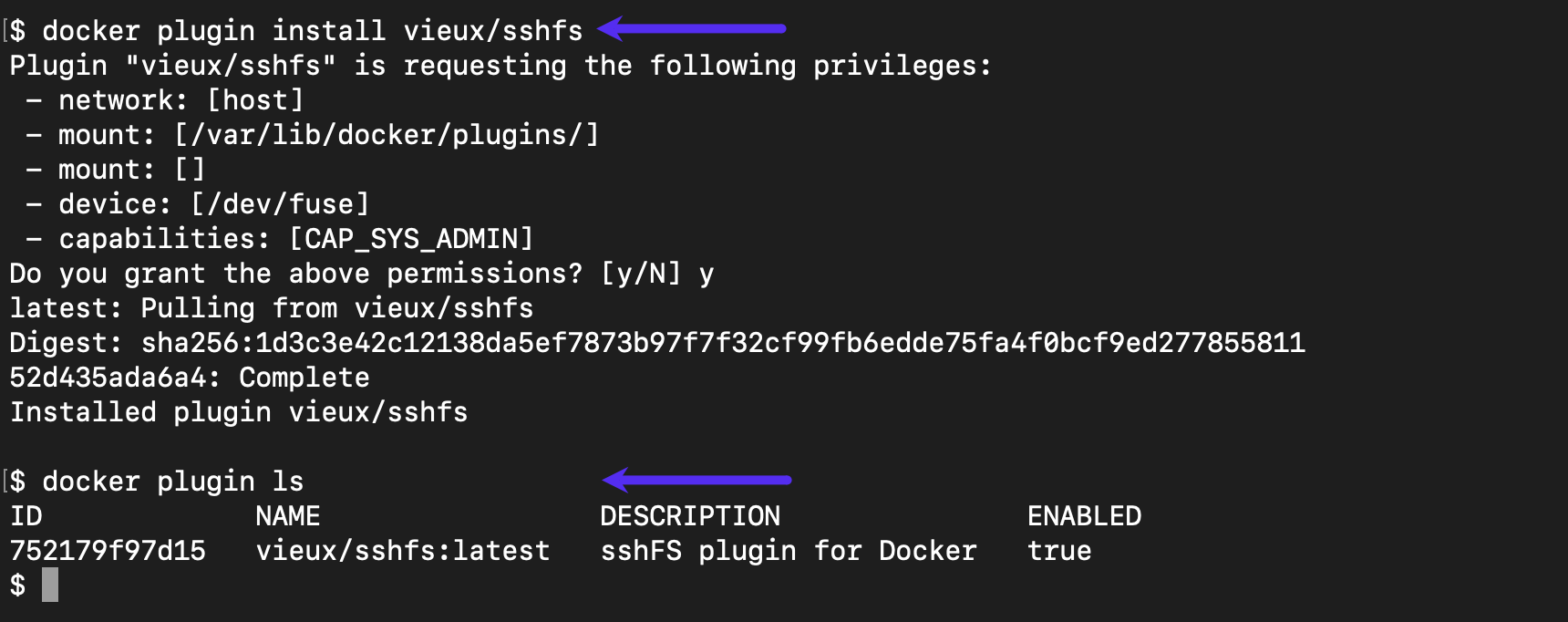 Screenshot: the docker plugin command.