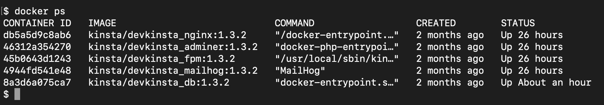 Captura de pantalla: el comando docker process status.