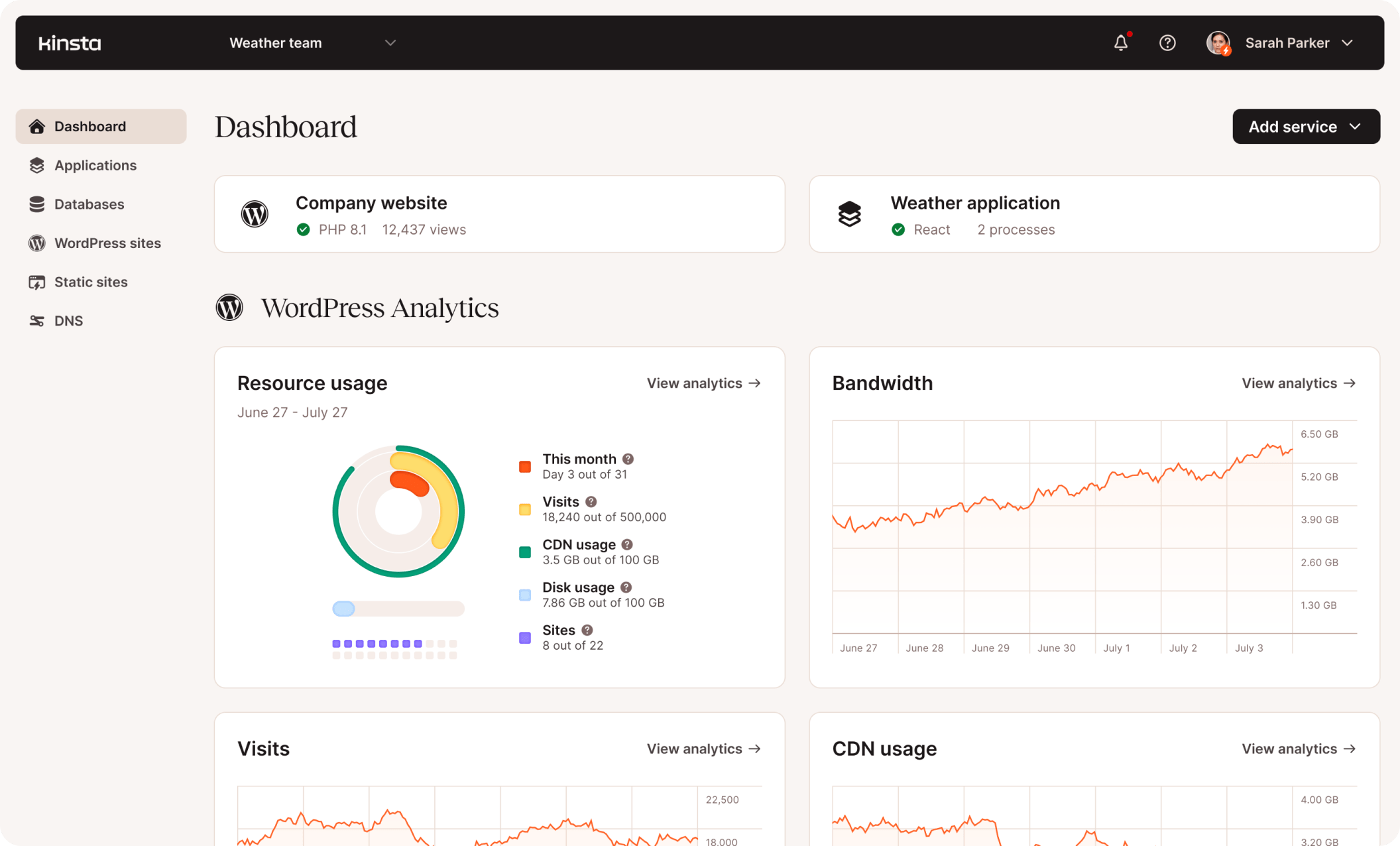 Skärmdump av standard MyKinsta-panelen