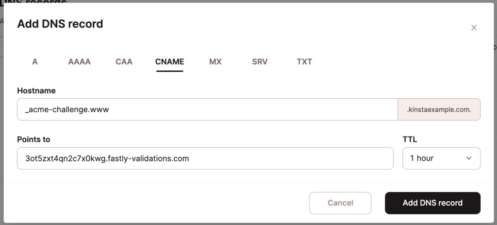 Adding your domain verification CNAME in Kinsta's DNS.