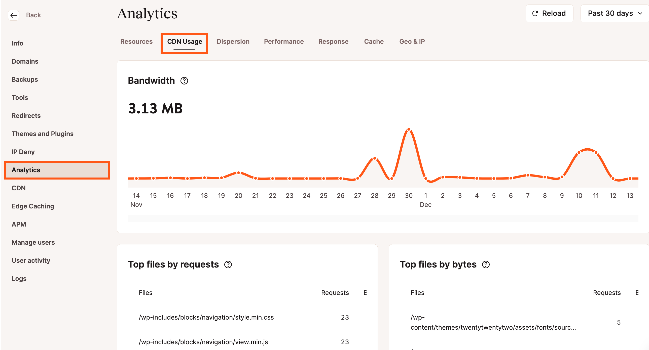 CDN Usage in MyKinsta WordPress Analytics.
