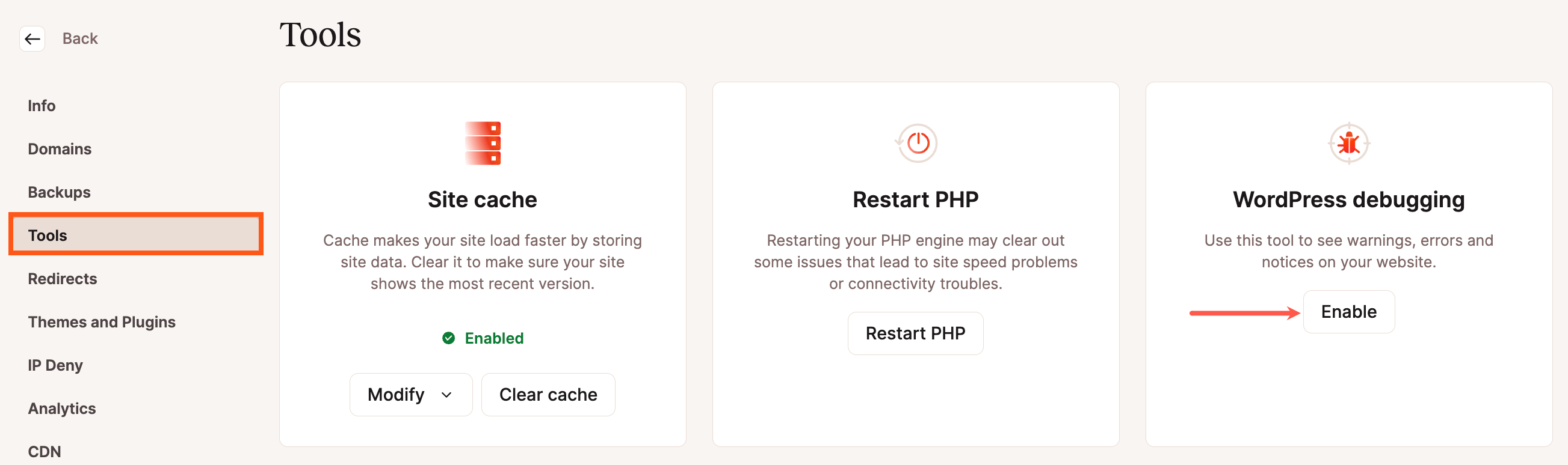 Screenshot showing the WordPress Debugging tool in MyKinsta.