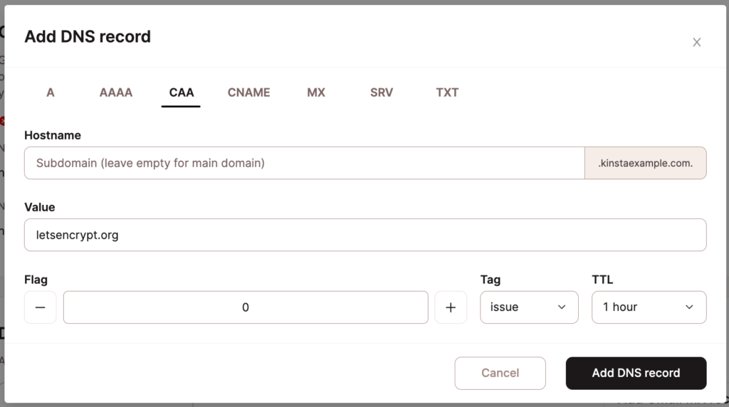 Aggiungere un record CAA nel DNS di Kinsta.