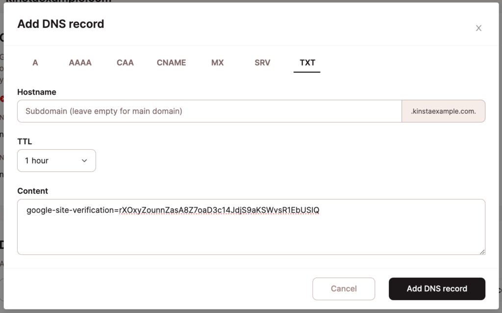 Añadir un registro TXT en el DNS de Kinsta.