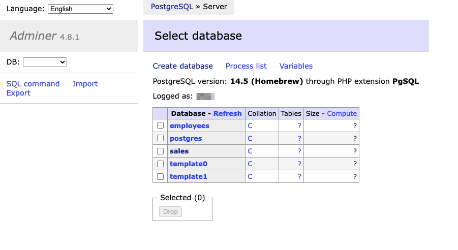 Visualizzazione dei database Postgres su Adminer.