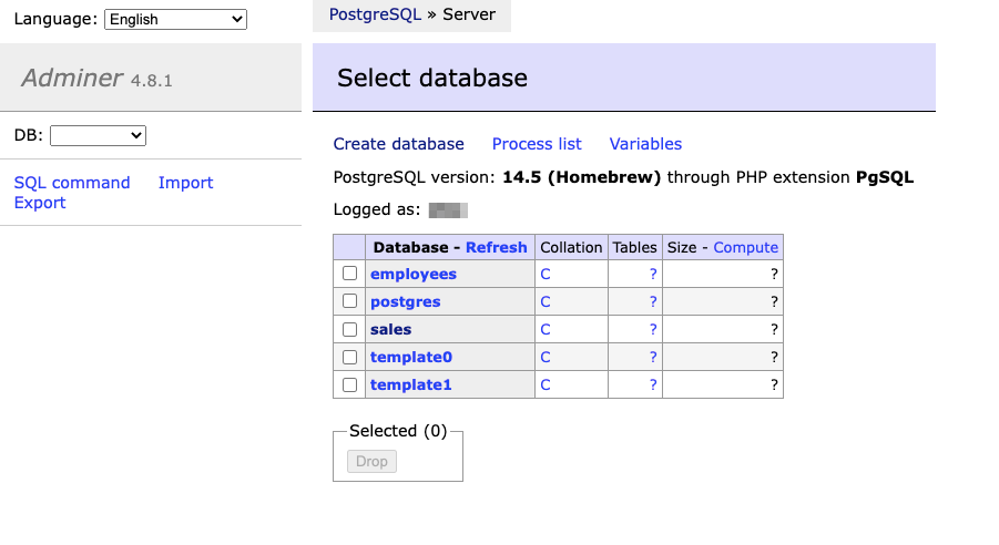 AdminerでのPostgresデータベースの表示