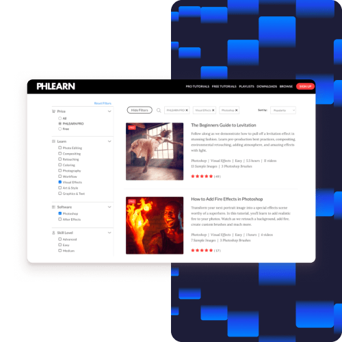 Skärmdump: PHLEARN-webbplats med Kinsta WordPress LMS Hosting