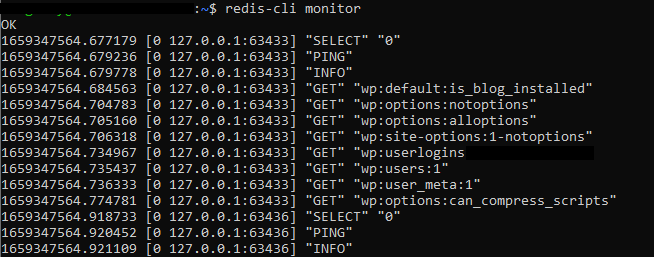 Screenshot die Redis serververzoeken in de terminal laat zien.