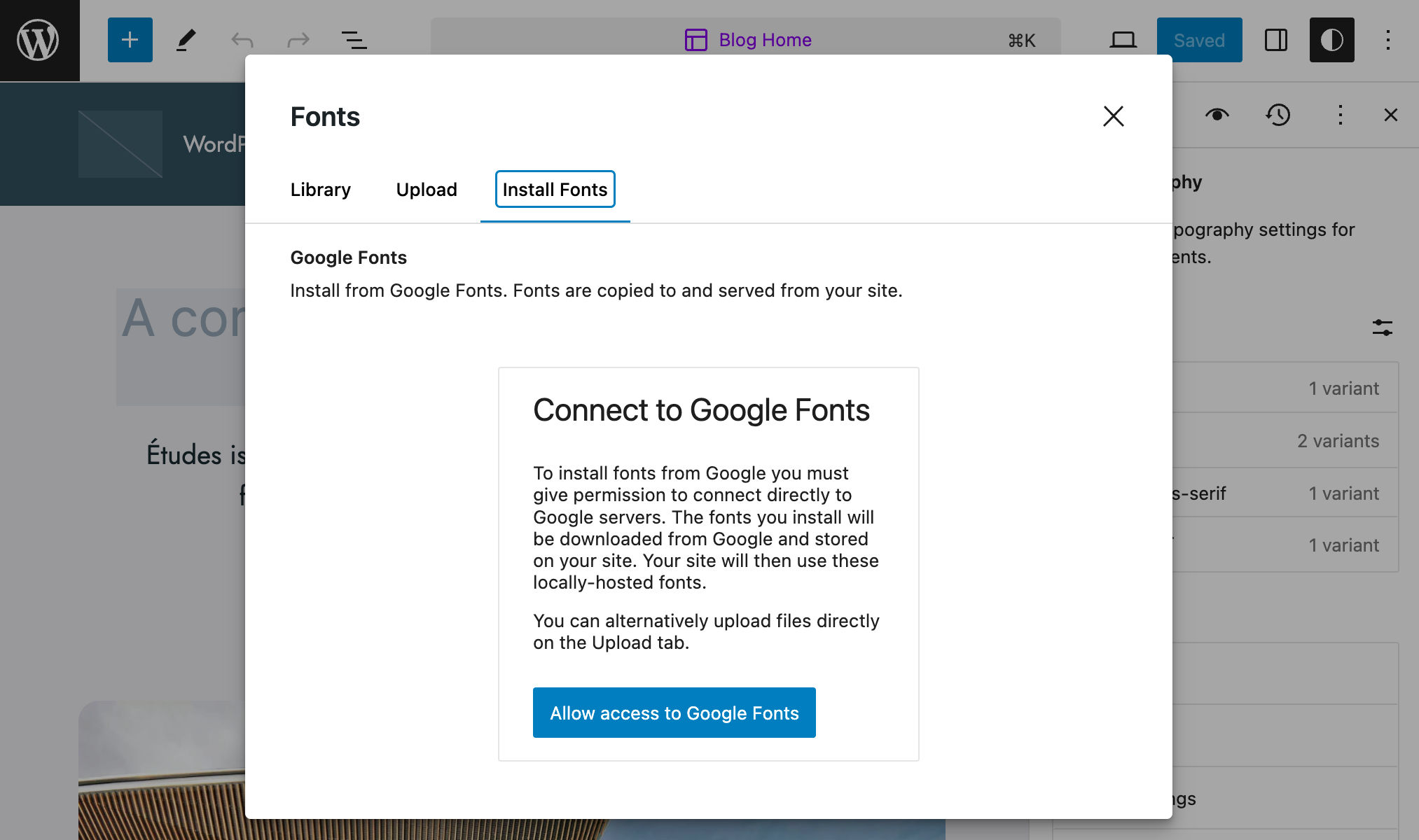 Nella scheda Install Fonts, viene chiesto di collegarsi a Google Fonts