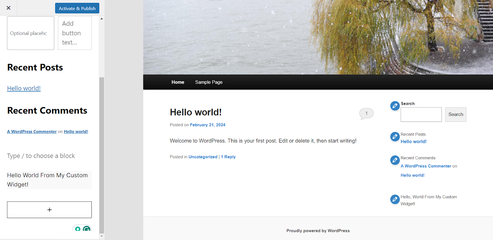 Screenshot van de landingspagina van de WordPress site. De linkerkant van de pagina heeft een menu met recente berichten en recente reacties, met een knop Activeren & Publiceren