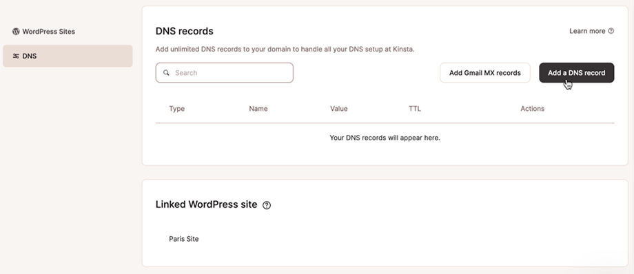 A caixa de diálogo para gerenciar registros DNS no MyKinsta.