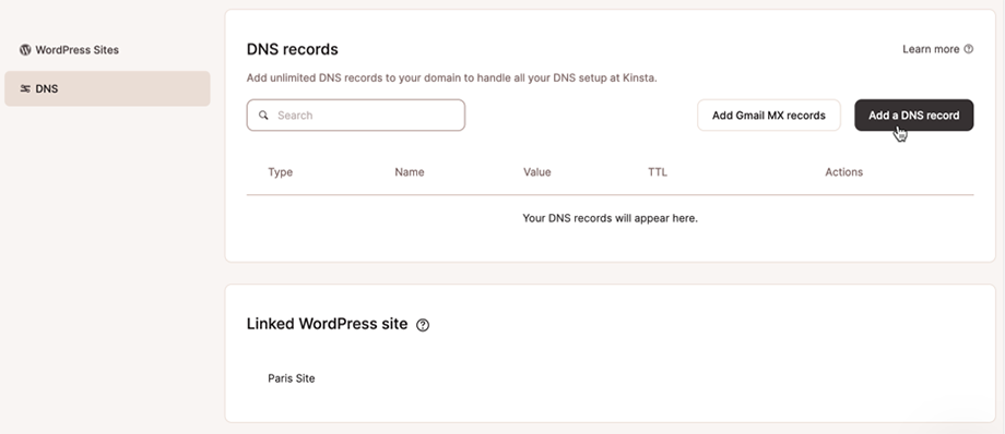 Het dialoogvenster voor het beheren van DNS records in MyKinsta.