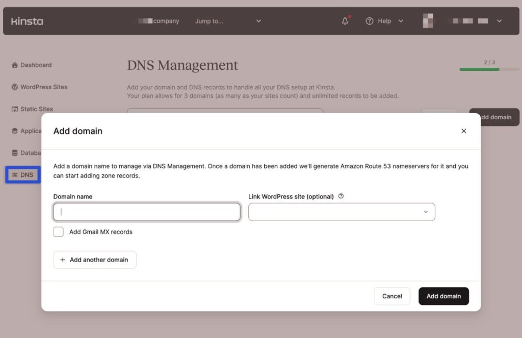 Die Kinsta-Oberfläche, mit der du die DNS-Einträge deiner Domain verwalten kannst.