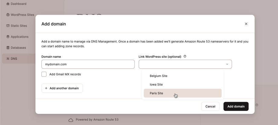 Screenshot of the dialog for linking a WordPress site to a domain name.