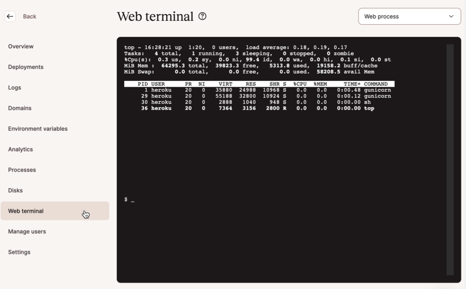 Et skærmbillede af applikationens webterminal i MyKinsta-dashboardet.