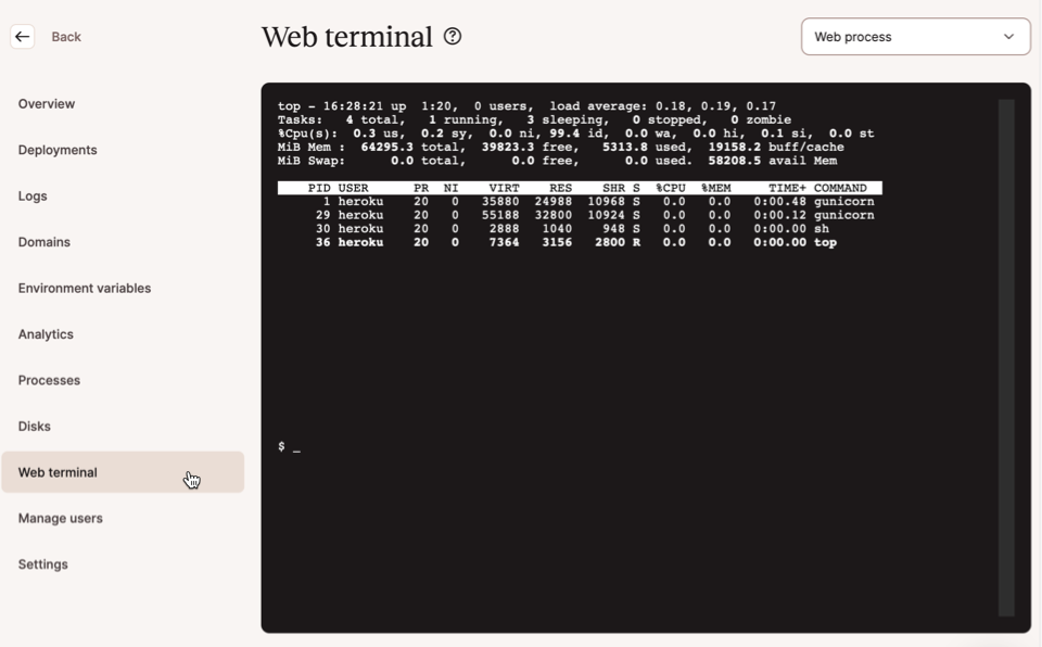 En applikations webbterminal associerad med en webbprocess som körs i MyKinsta.