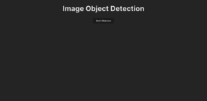 How to build a real-time object detection app using React and Kinsta ...